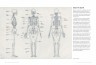 Основы анатомии человека. Наглядное руководство для художников