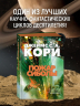Пространство. Книга 4. Пожар Сиболы
