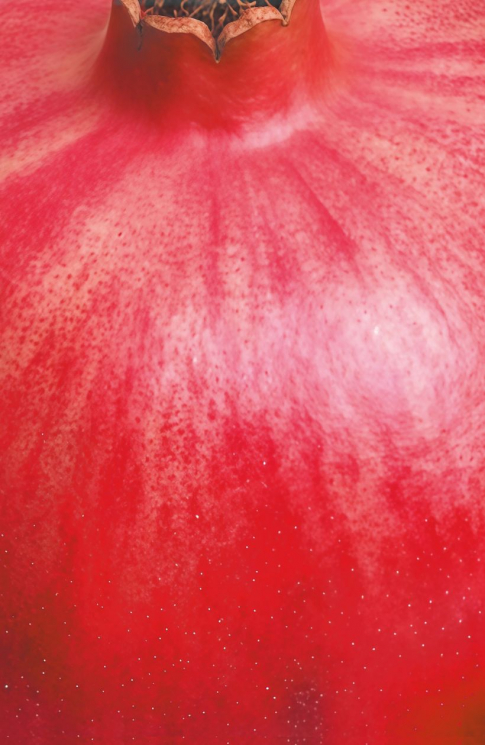 Блокнот с сочным гранатом