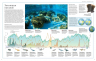 Океаны. Иллюстрированный атлас