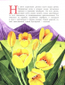 Тюльпан. Цветок султанов и мельников