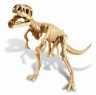 Скелет Тираннозавра
