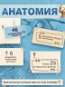 Анатомия. 4D Энциклопедия в дополненной реальности