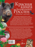Красная книга. Заповедники России. Животные и растения