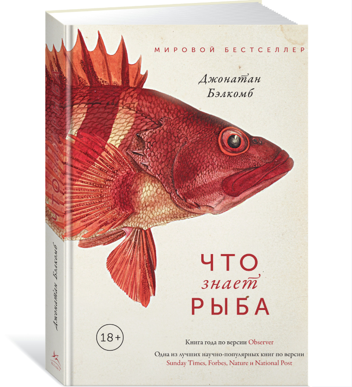 Рыба книги купить. Что знает рыба Джонатан Бэлкомб. Что знает рыба книга. Книги про рыб. Научно популярные книги о рыбах.
