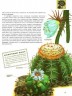 Растения. Полная энциклопедия