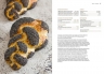 Книга о хлебе №1. Основы и рецепты правильного домашнего хлеба