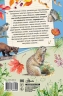 Рассказы о животных