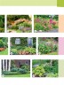 Цветники. 95 простых композиций для любого уголка сада