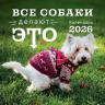 Все собаки делают это. Календарь настенный на 2026 год