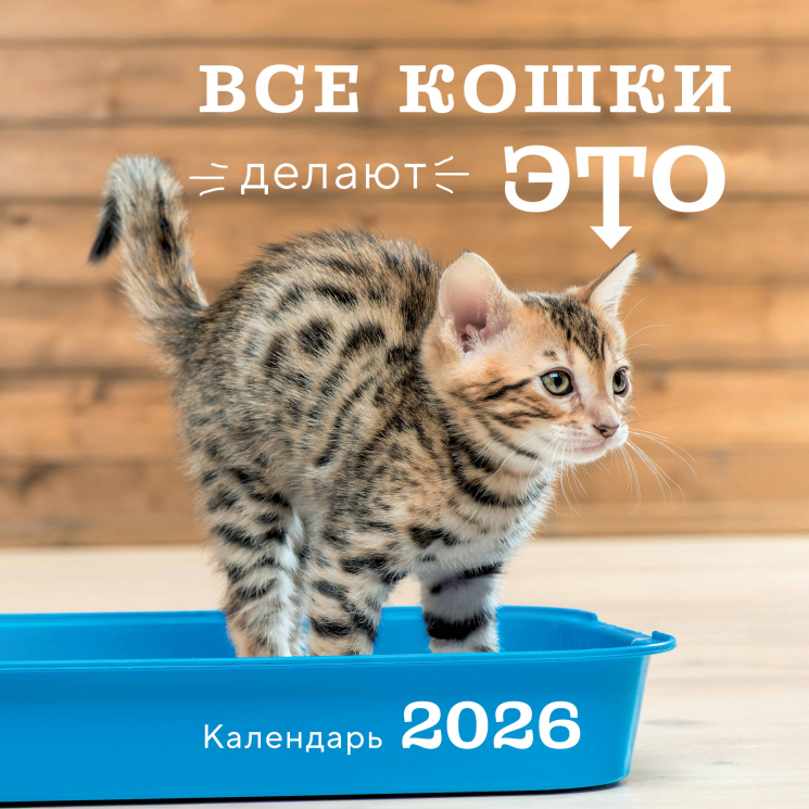Все кошки делают это. Календарь настенный на 2026 год