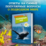 Подводный мир