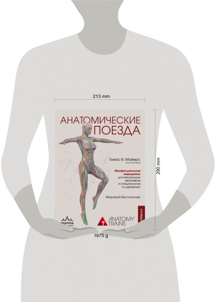 Анатомические поезда упражнения. Подарок для здоровья спины. Анатомические поезда книга обложка.