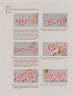 Японское вязание крючком. 100 великолепных дизайнов кружевной тесьмы, каймы и бордюров