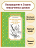 Возвращение в Страну невыученных уроков