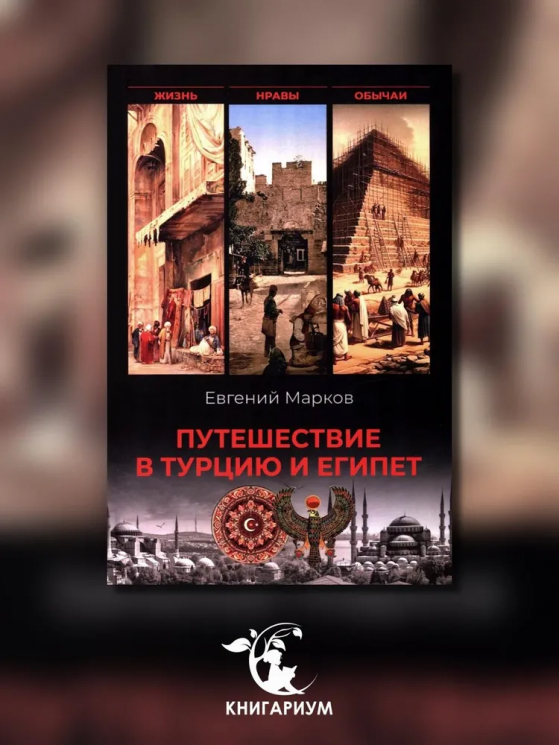 Путешествие в Турцию и Египет. Жизнь, нравы, обычаи