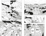 Naruto. Наруто. Книга 8. Перерождение. Том 22-24