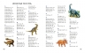 Все травоядные динозавры. С крупными буквами