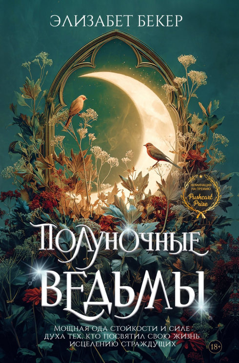 Новая готика. Полуночные ведьмы