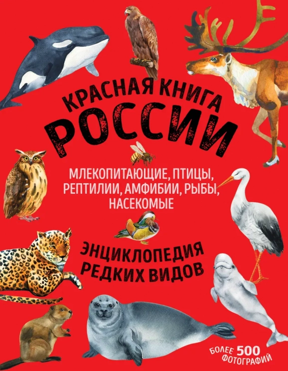 Красная книга России. Все о жизни дикой природы