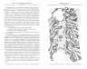 Карма - закон причины и следствия