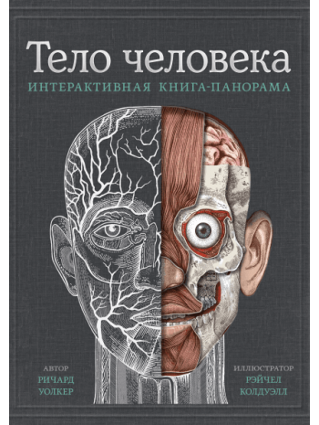 Тело человека. Интерактивная книга-панорама