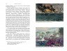 История Гражданской войны в США 1861-1865