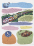365 фактов о транспорте