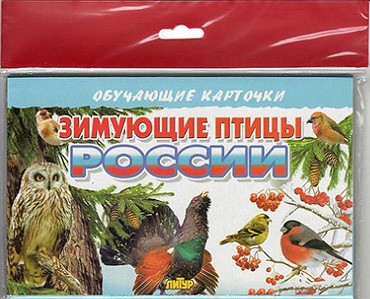 Зимующие птицы России