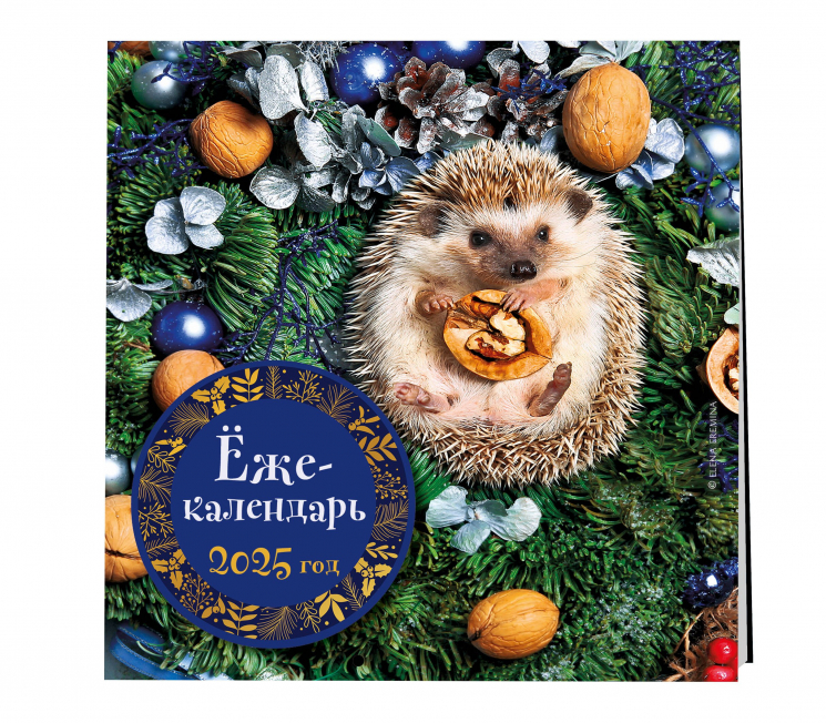 Ёжекалендарь. Грецкие орехи. Календарь настенный на 2025 год